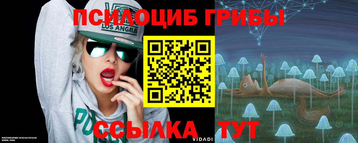 Набережные Челны  Галлюциногенные грибы Psilocybine cubensis  Вход с VPN 