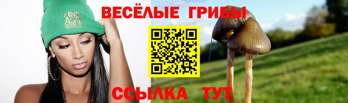 Галлюциногенные грибы мухоморы Набережные Челны